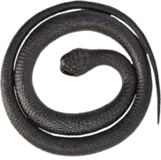 <notranslate>un Serpent En Caoutchouc Black Mamba</notranslate>