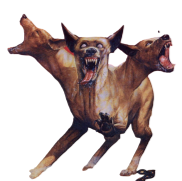 <notranslate>un Cd Wild Dogs</notranslate>