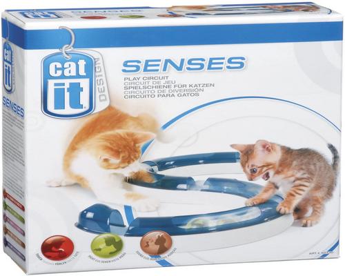 un Jouet Cat It Senses Play Circuit
