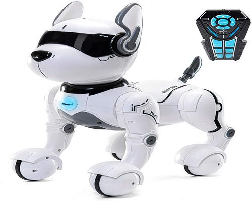 un Robot Télécommandé Chien