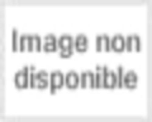 une Série Esprits Criminels : Saison 15 [Dvd]