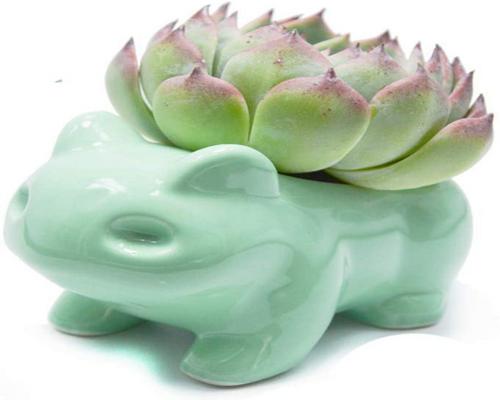 un Pot Binoster Diy