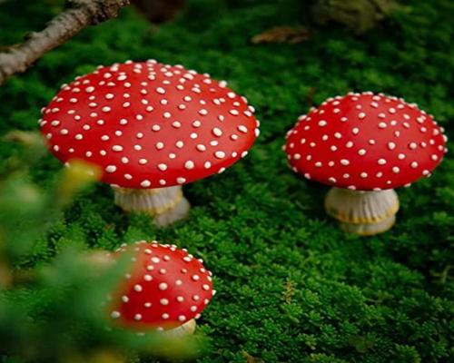 un Jeu De Champignons Lumineux Asarly