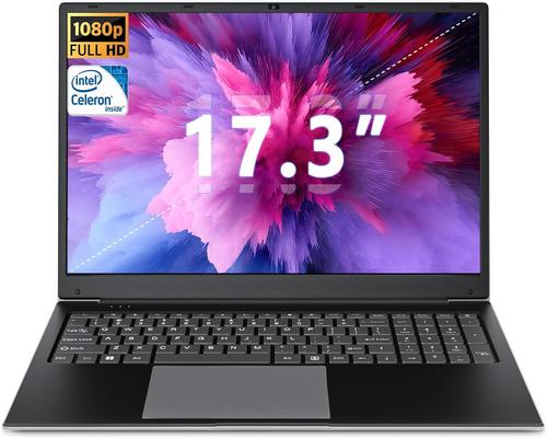 un Ordinateur Portable Sgin 17,3 Pouces