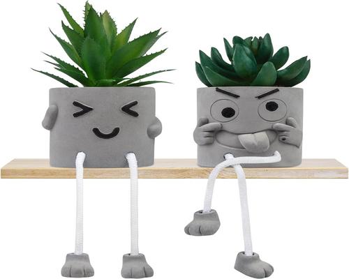 un Lot De 2 Plantes Grasses Artificielles Woltoy