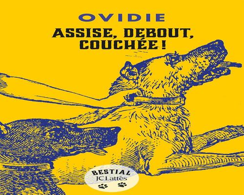 un Livre : Assise, Debout, Couchée