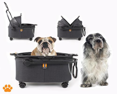 une Caisse De Transport My Duque Coco Ii Pour Petits Chiens