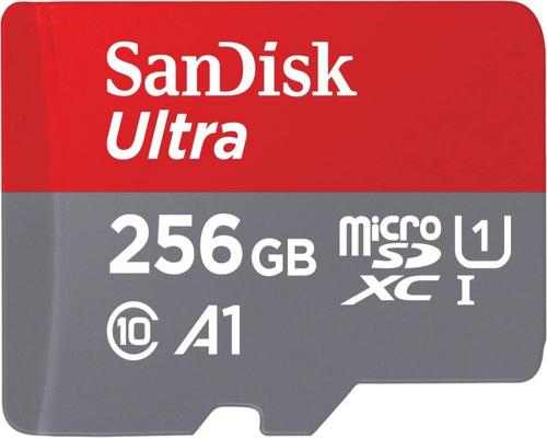 en SanDisk 256 GB Ultra SDHC-hukommelseskort + SD-adapter