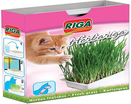 un pacchetto di erbe aromatiche Riga Ariga
