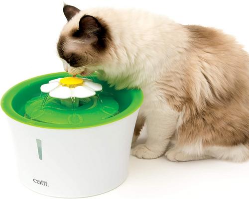 ein Catit Flower Cat Brunnen