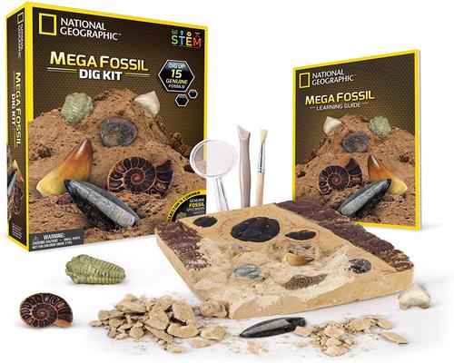 un kit de excavación de fósiles de National Geographic Science