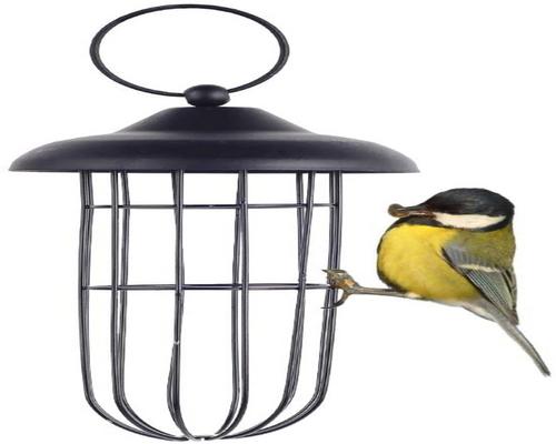 une Mangeoire À Oiseaux En Métal Résistant Aux Écureuils