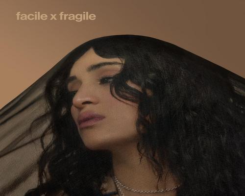 une Réédition De L'Album "Facile X Fragile"