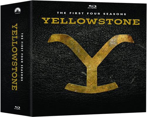un film Yellowstone : Saisons 1 à 4