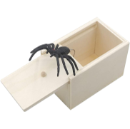 <notranslate>a Zoneyan Spider Surprise Box Prank</notranslate>