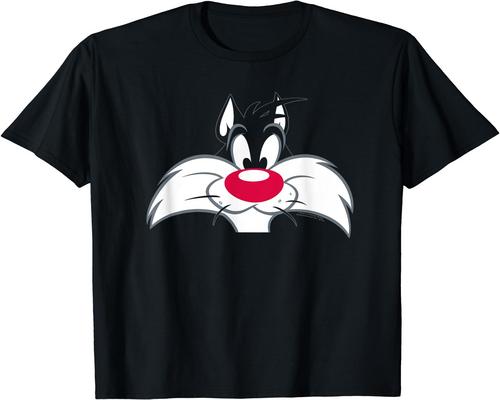 a Looney Tunes Sylvester Face Accessory