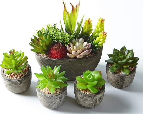 a Jobary Robot Set Of 5 Artificial Succulent Pots