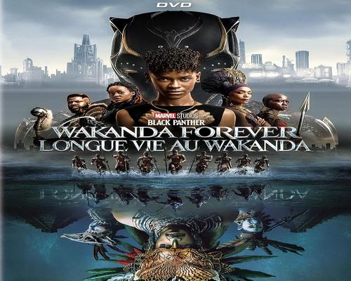 a Movie Black Panther: Wakanda Forever (Bilingual)