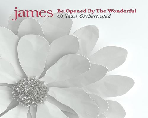 een Cd Be Opened By The Wonderful