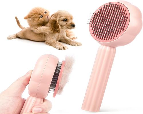 a Dog Brush