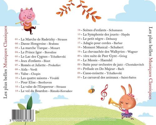 un Coffret Cds De Musiques Classiques