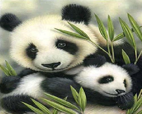 un Kit De Peinture Au Diamant Panda