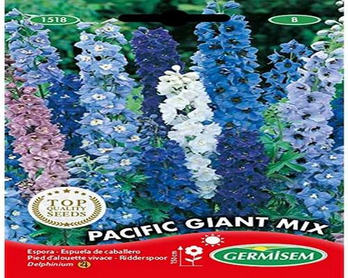 un Sachet De Graines De Pied D'Alouette Pacific Giant