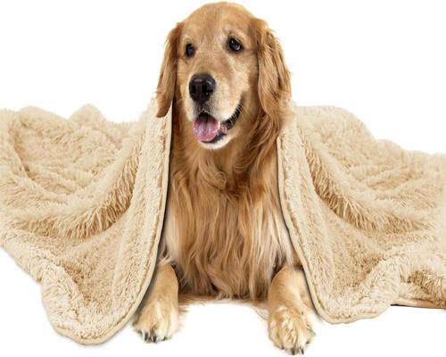 a Pettom Fluffy Dog Blanket