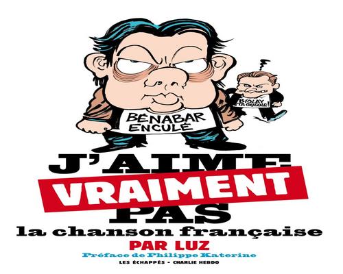 un Livre J'Aime Vraiment Pas La Chanson Française