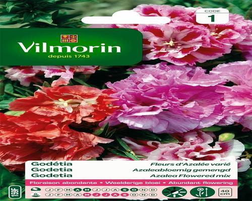 un Paquet De Semences De Godétia Double Vilmorin