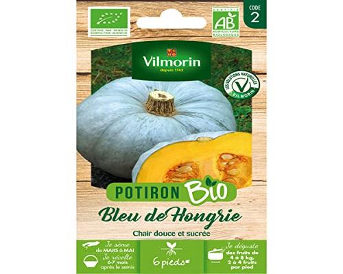 un Sachet De Graines Potiron Bleu De Hongrie Bio