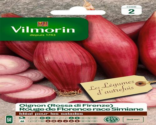 un Pack De Graines D'Oignon De Florence Vilmorin