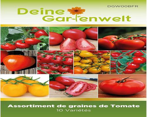 un Lot De 10 Sachets De Graines De Tomates