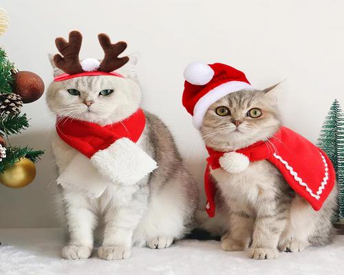 et julekostume til hunde og katte