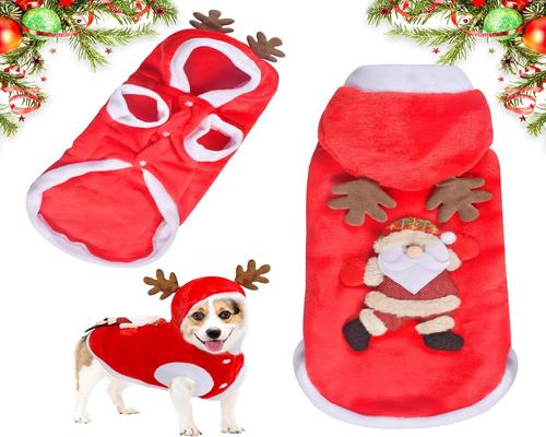 un costume natalizio per animali domestici