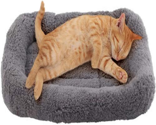 猫のための楽しい自己発熱マット