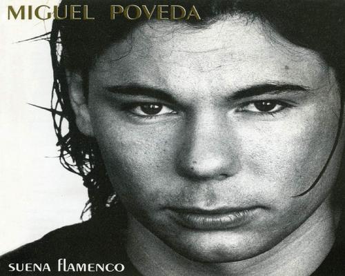 un Cd Suena Flamenco