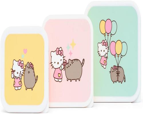 Een set Pusheen- en Hello Kitty-snackdozen