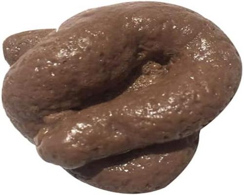A Realistic Fake Shit Tangyang