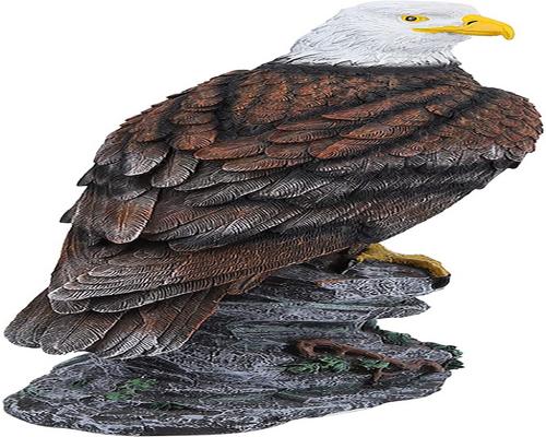 Lwuey Eagle -patsas