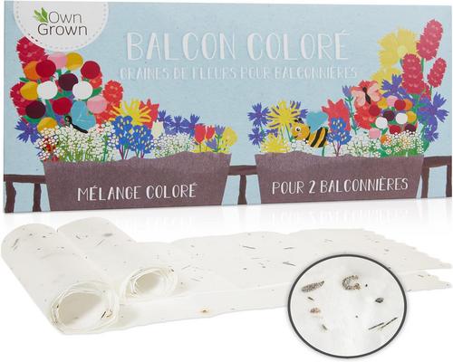 un Mélange De Fleurs De Balcon Owngrown