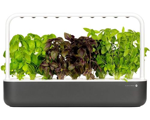 An autonomous indoor vegetable garden