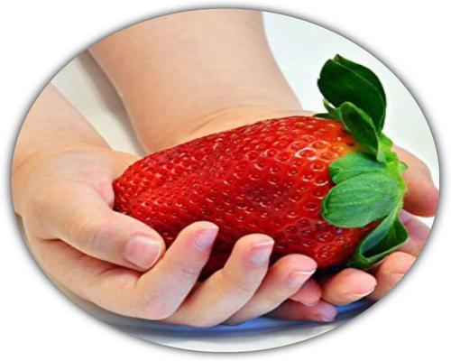 One Protection Fragaria Ananassa/Giant Strawberries/50 Seeds/The Largest Strawberry In The World/Good Taste