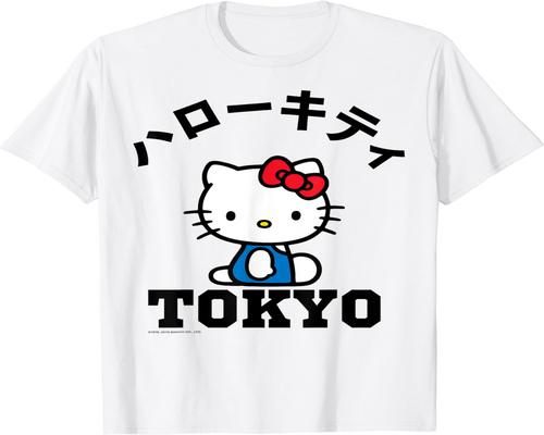 a Hello Kitty Tokyo Accessory