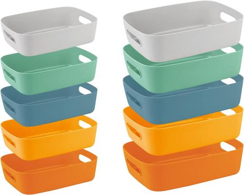 A Case Lot of 10 of Plastic