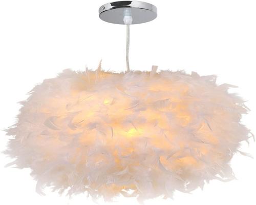 a Daxgd Feather Lamp