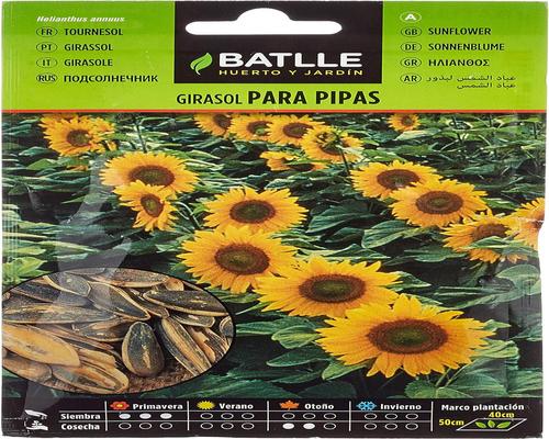<notranslate>Batlle Protection</notranslate>
