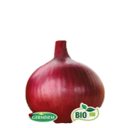<notranslate>a Pack of Graines D'Oignon Rouge Amposta Germisem Bio</notranslate>