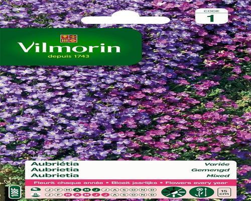 <notranslate>A Packet of Aubriéta Vilmorin Seeds Mixed</notranslate>
