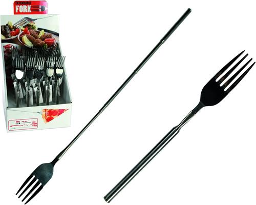 a Telescopic and Extendable Fork